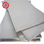 Placa din titan Gr12